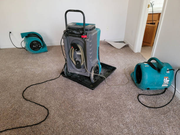 Best Water damage restoration services  in Guadalupe, CA