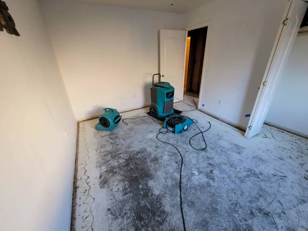 Best Flood damage cleanup  in Guadalupe, CA