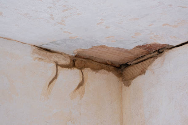Fire Damage Restoration in Guadalupe, CA