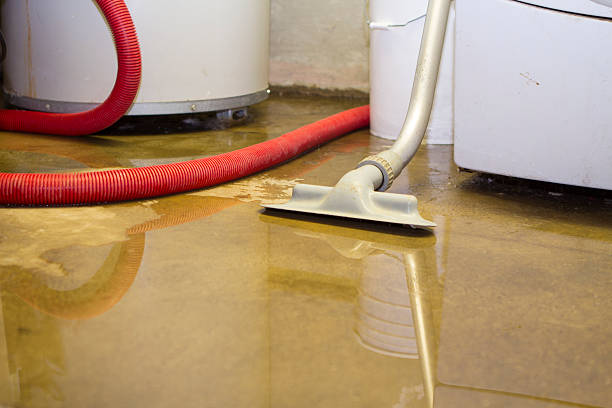 Best Water damage restoration near me  in Guadalupe, CA