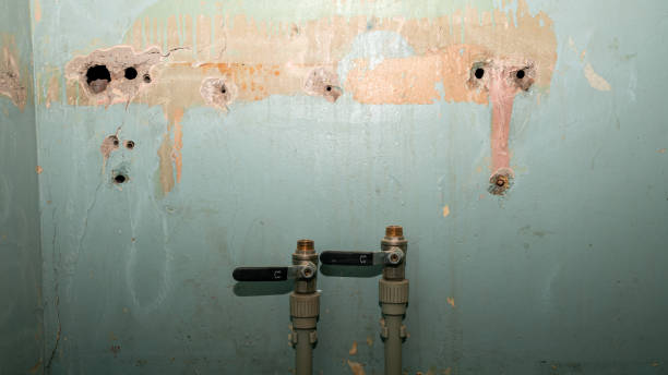 Best Local water damage restoration  in Guadalupe, CA